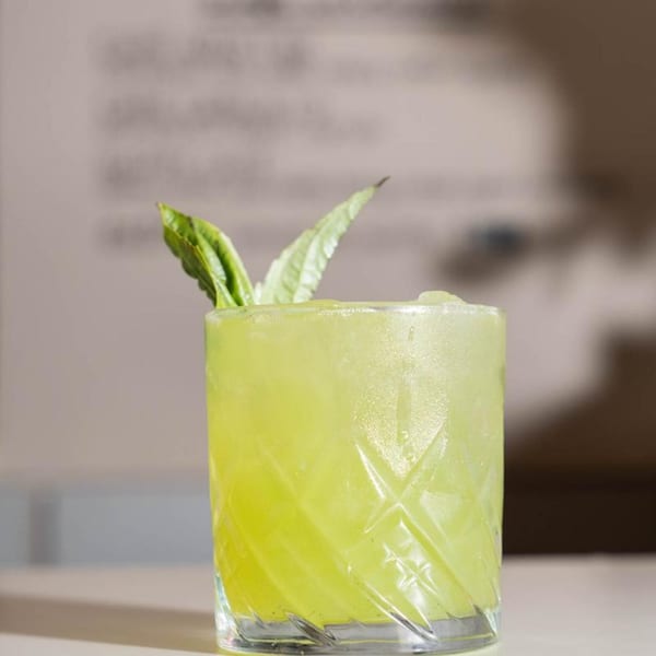 A refreshing green cocktail in a textured glass, garnished with fresh basil leaves.